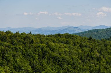 Karpat Dağları Yaremche görünümünde manzara