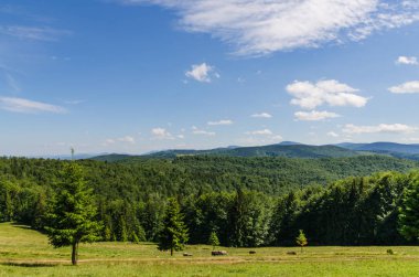 Karpat Dağları Yaremche görünümünde manzara