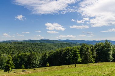Karpat Dağları Yaremche görünümünde manzara