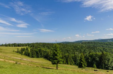 Karpat Dağları Yaremche görünümünde manzara