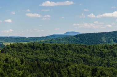 Karpat Dağları Yaremche görünümünde manzara