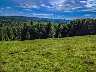 Karpat Dağları Yaremche görünümünde manzara
