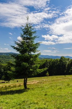 Karpat Dağları Yaremche görünümünde manzara