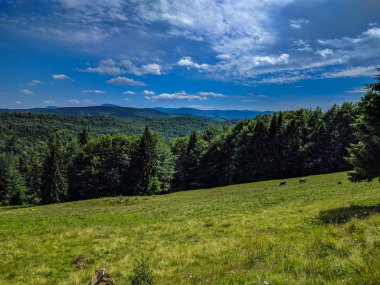 Karpat Dağları Yaremche görünümünde manzara