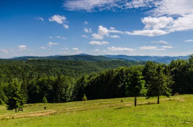 Karpat Dağları Yaremche görünümünde manzara