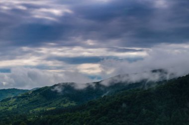 Karpat Dağları Yaremche görünümünde manzara