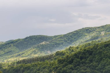 Karpat Dağları Yaremche görünümünde manzara
