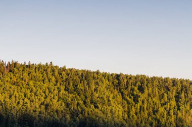 Karpat Dağları Yaremche görünümünde manzara