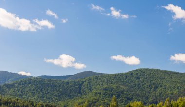 Karpat Dağları Yaremche görünümünde manzara