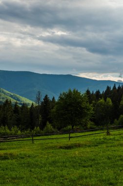 Karpat Dağları Yaremche görünümünde manzara