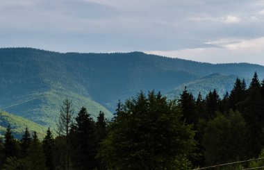 Karpat Dağları Yaremche görünümünde manzara
