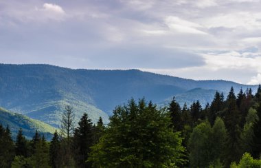 Karpat Dağları Yaremche görünümünde manzara