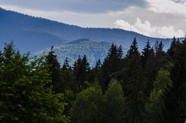 Karpat Dağları Yaremche görünümünde manzara
