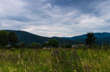 Karpat Dağları Yaremche görünümünde manzara