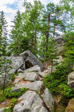 Karpat Dağları Yaremche görünümünde manzara