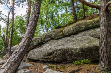 Karpat Dağları Yaremche görünümünde manzara