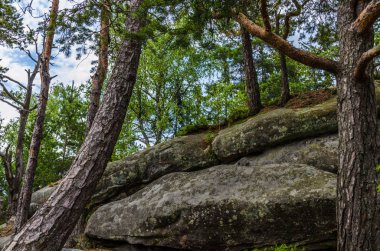 Karpat Dağları Yaremche görünümünde manzara