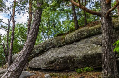 Karpat Dağları Yaremche görünümünde manzara