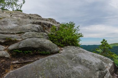 Karpat Dağları Yaremche görünümünde manzara