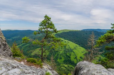 Karpat Dağları Yaremche görünümünde manzara