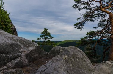 Karpat Dağları Yaremche görünümünde manzara