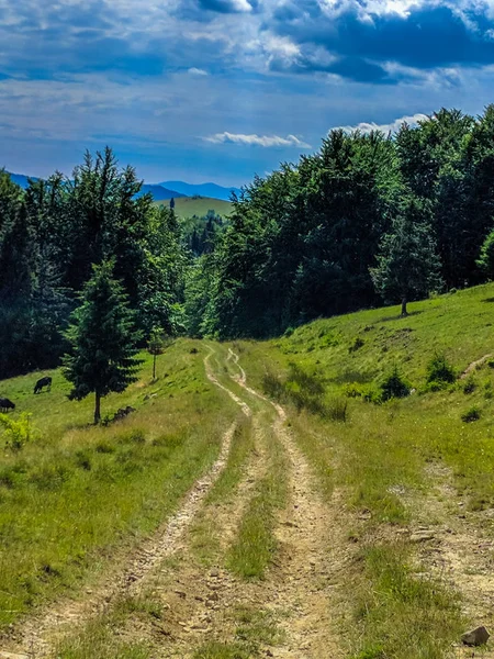 Cárpatos montanhas paisagem vista em Yaremche — Fotografia de Stock