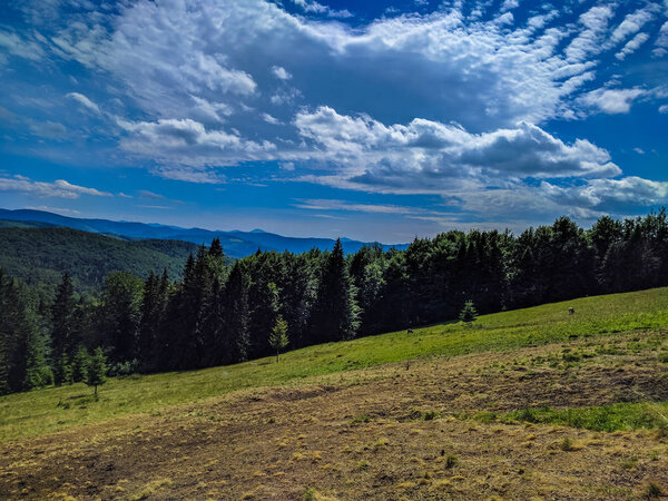 Карпатские горы с видом на Яремче
