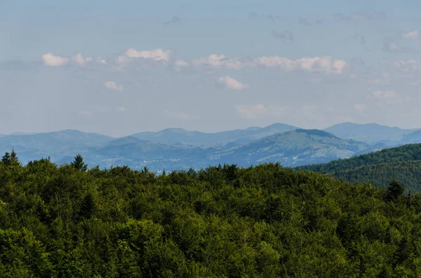 Karpat Dağları Yaremche görünümünde manzara