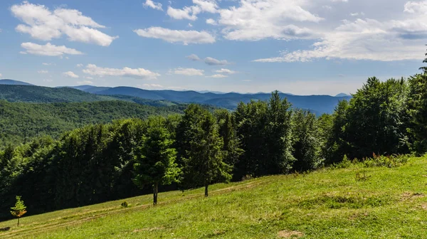 Karpat Dağları Yaremche görünümünde manzara