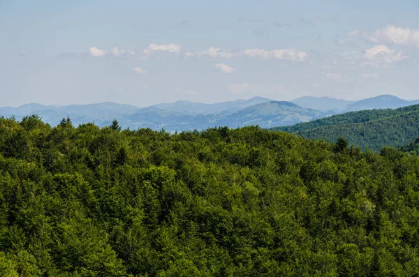 Karpat Dağları Yaremche görünümünde manzara