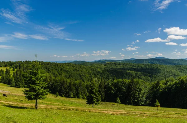 Karpaten landschap weergave in Yaremche — Stockfoto