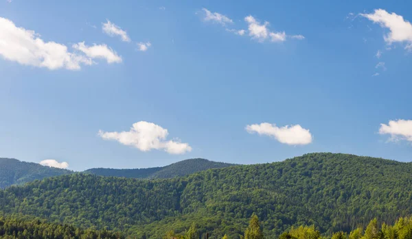Karpat Dağları Yaremche görünümünde manzara