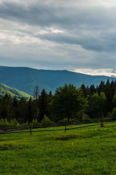 Karpat Dağları Yaremche görünümünde manzara