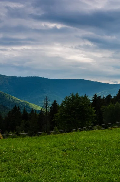 Karpat Dağları Yaremche görünümünde manzara