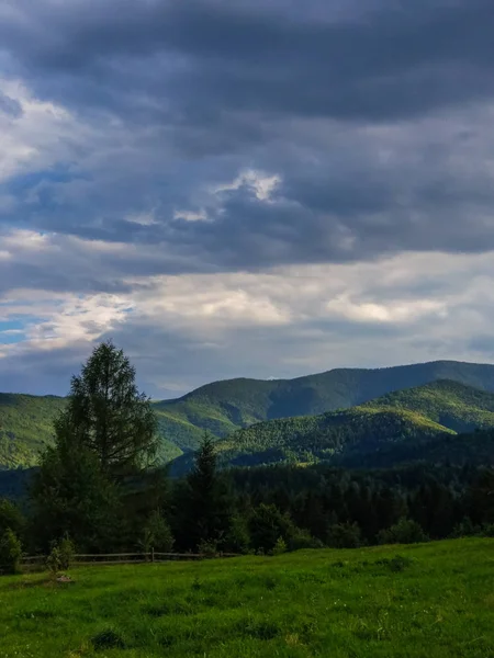 Karpat Dağları Yaremche görünümünde manzara