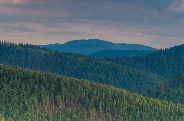 Karpat Dağları Yaremche görünümünde manzara