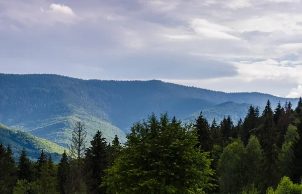 Karpat Dağları Yaremche görünümünde manzara