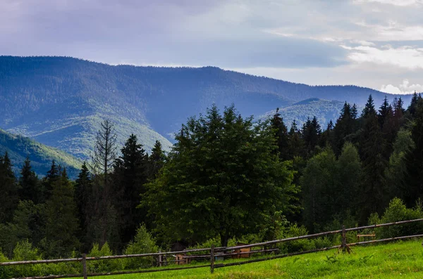 Karpaten Landschaft Blick in Yaremche — Stockfoto