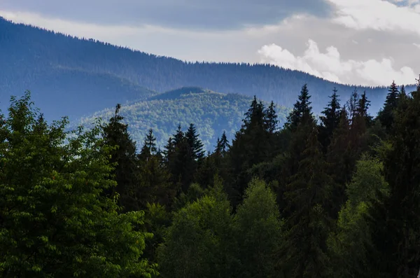 Karpat Dağları Yaremche görünümünde manzara