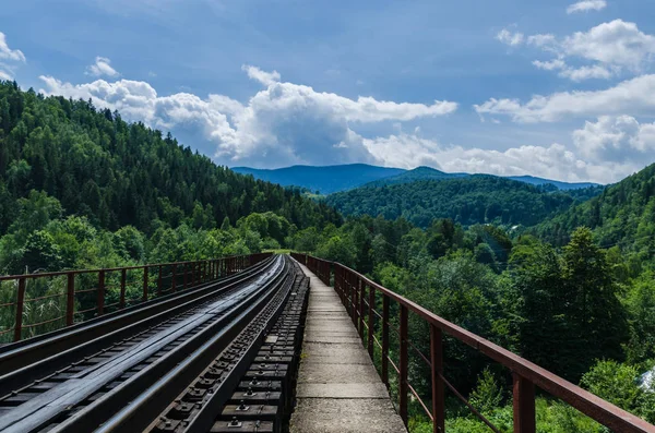 Karpat Dağları Yaremche görünümünde manzara