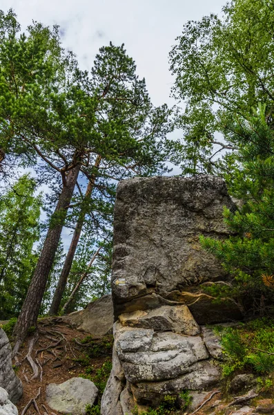 Karpat Dağları Yaremche görünümünde manzara