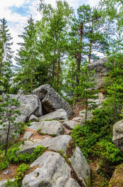 Karpat Dağları Yaremche görünümünde manzara