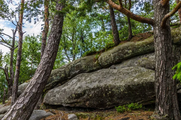 Karpat Dağları Yaremche görünümünde manzara