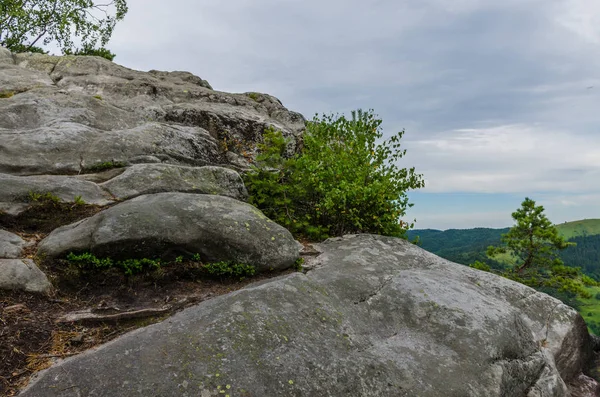 Karpat Dağları Yaremche görünümünde manzara