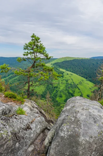 Cárpatos montanhas paisagem vista em Yaremche — Fotografia de Stock