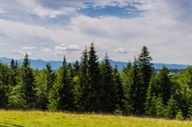 Karpat Dağları Yaremche görünümünde manzara