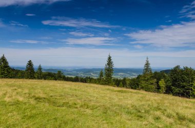Karpat Dağları Yaremche görünümünde manzara