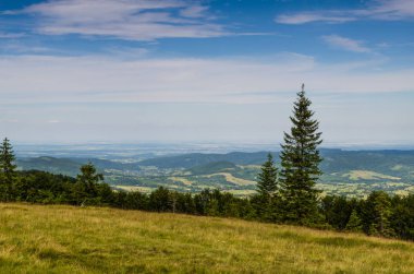 Karpat Dağları Yaremche görünümünde manzara