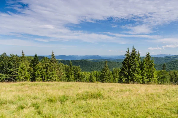 Karpat Dağları Yaremche görünümünde manzara