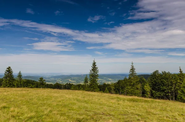 Karpat Dağları Yaremche görünümünde manzara